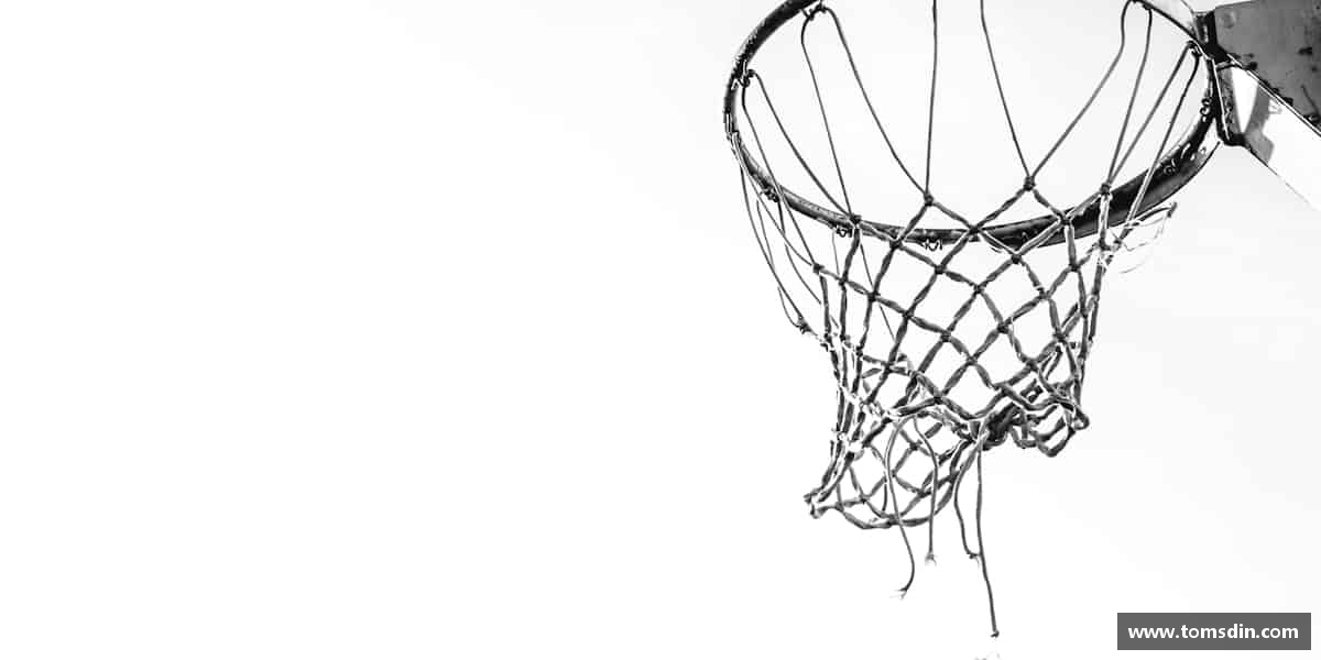 发现bb贝博艾弗森官方网站